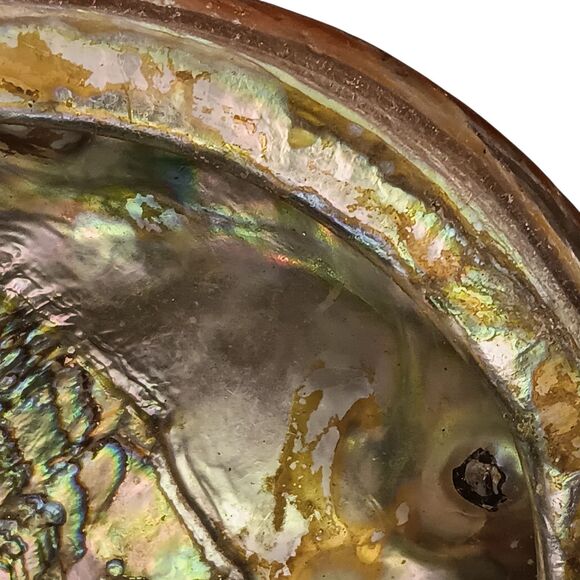 Vintage Large Abalone Shell Seashell Shiny Green Blue Yellow Pink Silver 8"x6" - Picture 5 of 12